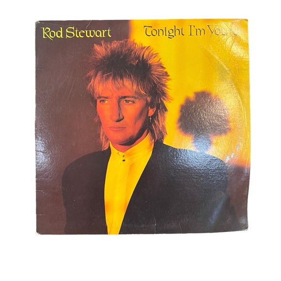Vintage Vinyl LP Rod Stewart Tonight I'm Yours 1981 Warner Bros. LP-BSK-3602 - Picture 3 of 3